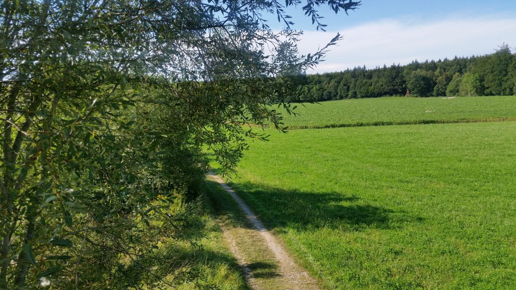 Download Sprueche sonntag ausruhen Desktop Wallpaper Sprueche Sonntag Ausruhen