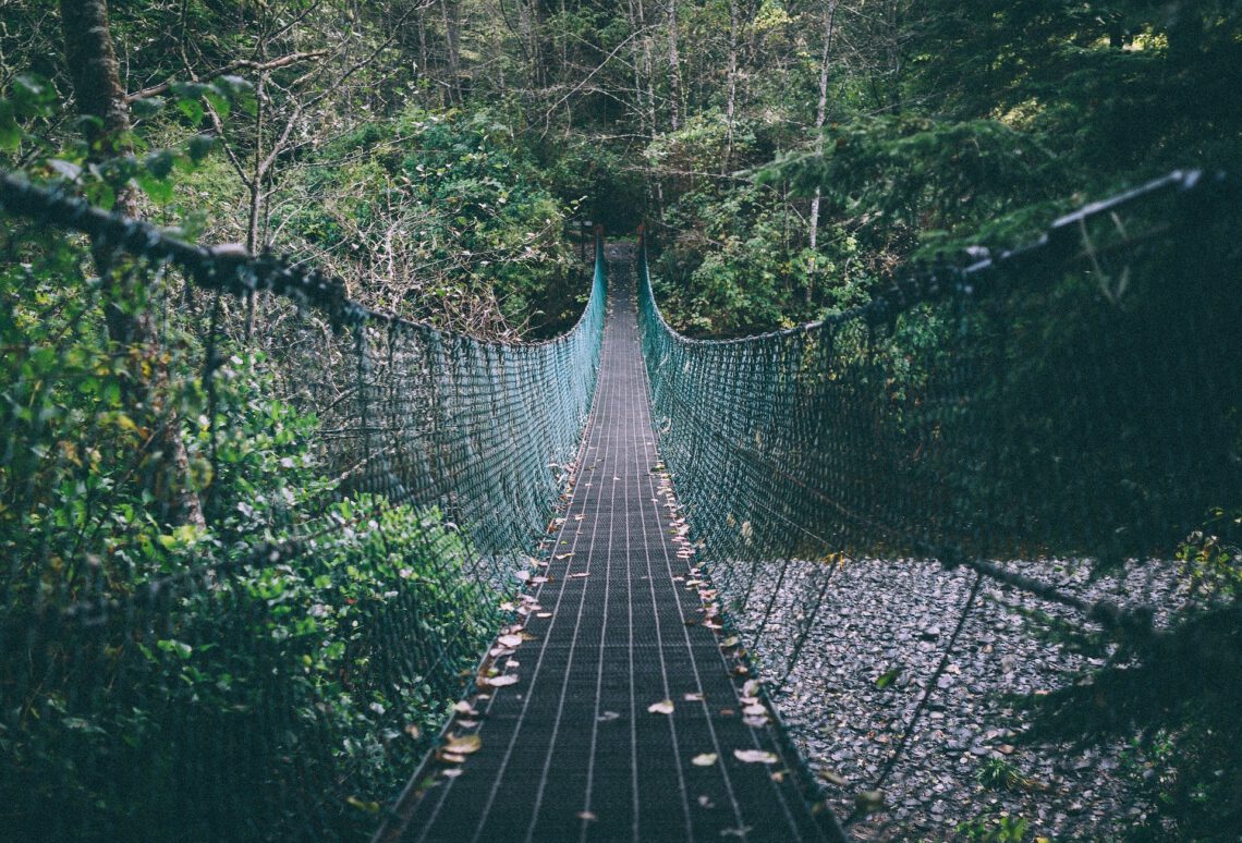 Eine Hängebrücke durch den Wald.