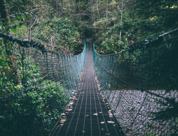 Eine Hängebrücke durch den Wald.